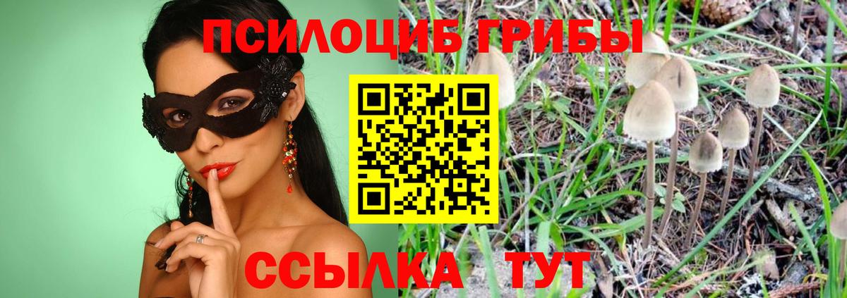 Галлюциногенные грибы Psilocybine cubensis Благовещенск